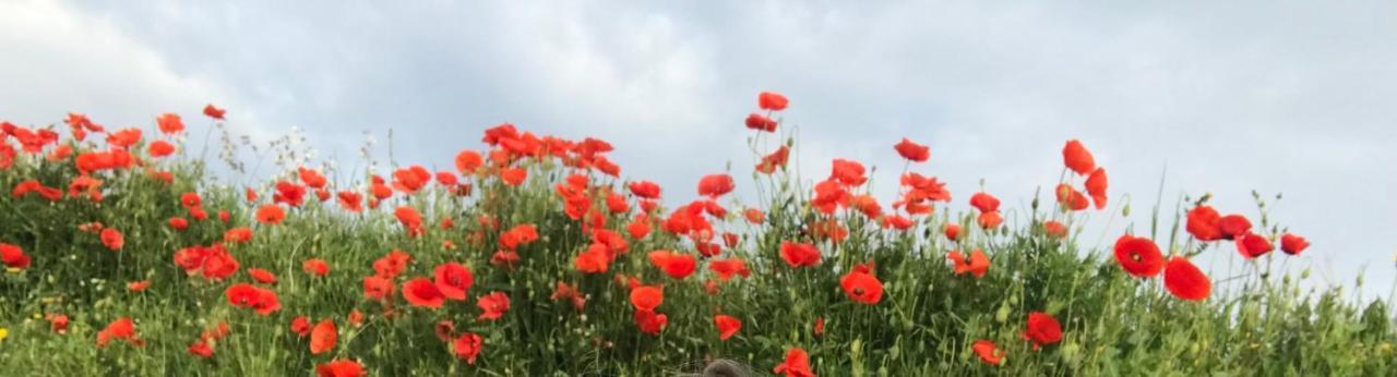 מלון Aspiran Le Jardin מראה חיצוני תמונה