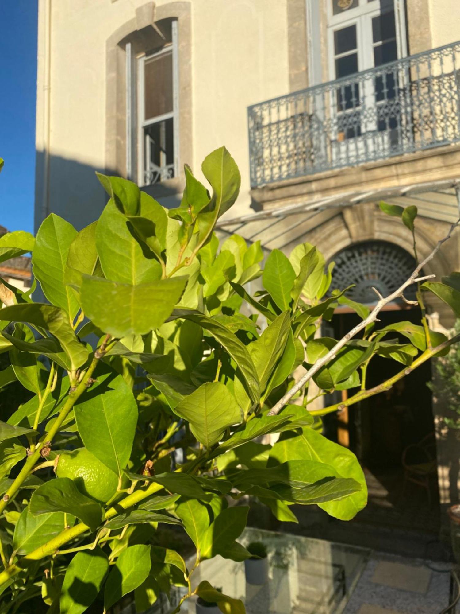מלון Aspiran Le Jardin מראה חיצוני תמונה